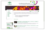 Web : Iniciativa Andaluza en Terapias Avanzadas